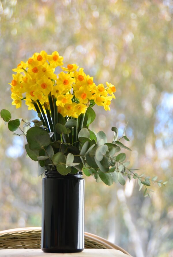 MIRON Screw top  jar - Tall - Image 9